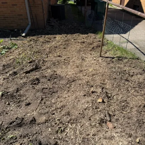 Lot Clearing Services 1