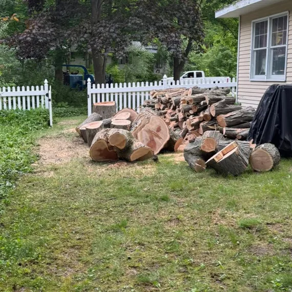 Lot Clearing Services